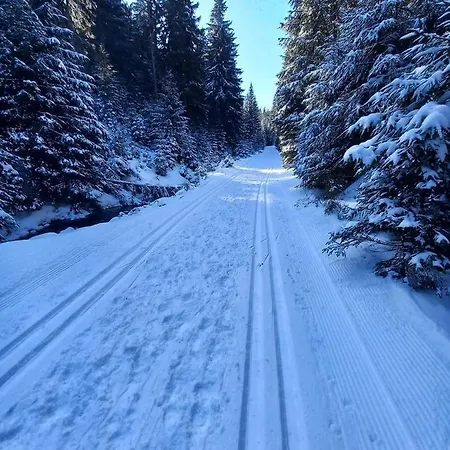 Przy Skarpie Lądek-Zdrój