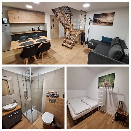 Hébergement de vacances Przy Skarpie Lądek-Zdrój