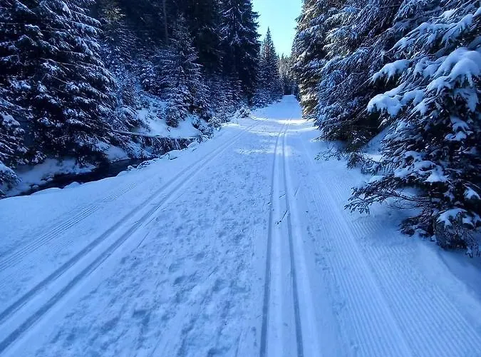 Przy Skarpie Lądek-Zdrój